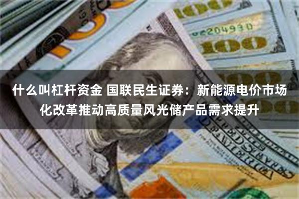 什么叫杠杆资金 国联民生证券：新能源电价市场化改革推动高质量风光储产品需求提升