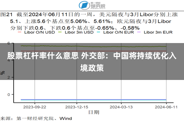 股票杠杆率什么意思 外交部：中国将持续优化入境政策