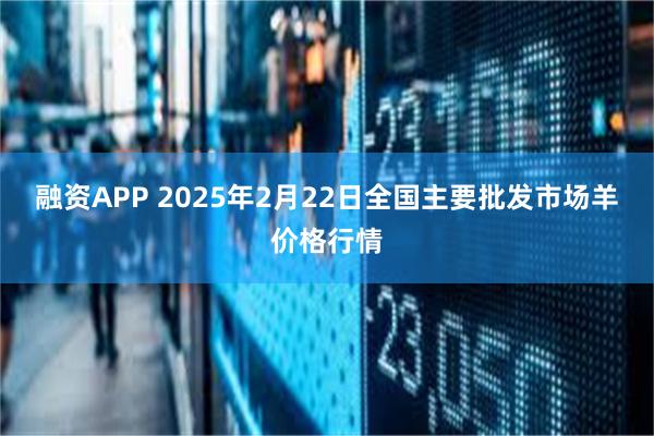 融资APP 2025年2月22日全国主要批发市场羊价格行情