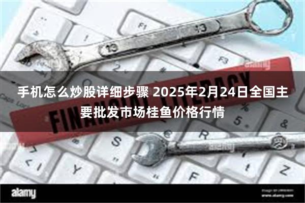 手机怎么炒股详细步骤 2025年2月24日全国主要批发市场桂鱼价格行情