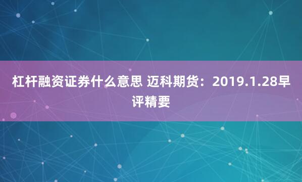 杠杆融资证券什么意思 迈科期货：2019.1.28早评精要