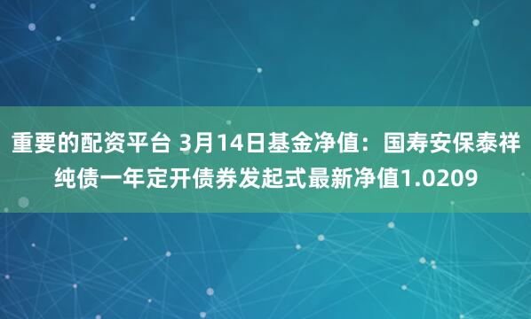 重要的配资平台 3月14日基金净值：国寿安保泰祥纯债一年定开债券发起式最新净值1.0209